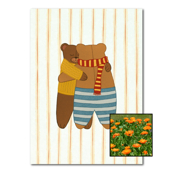 Berenknuffel | Bloemenzaad