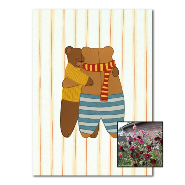 Berenknuffel | Bloemenzaad