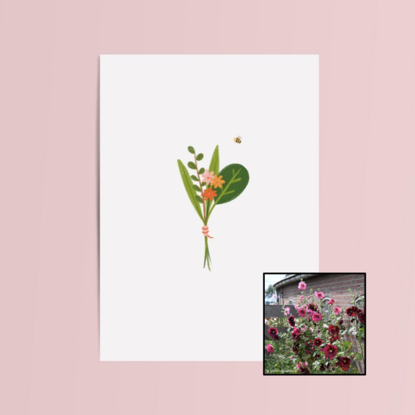 Boeket & Bij | Bloemenzaad