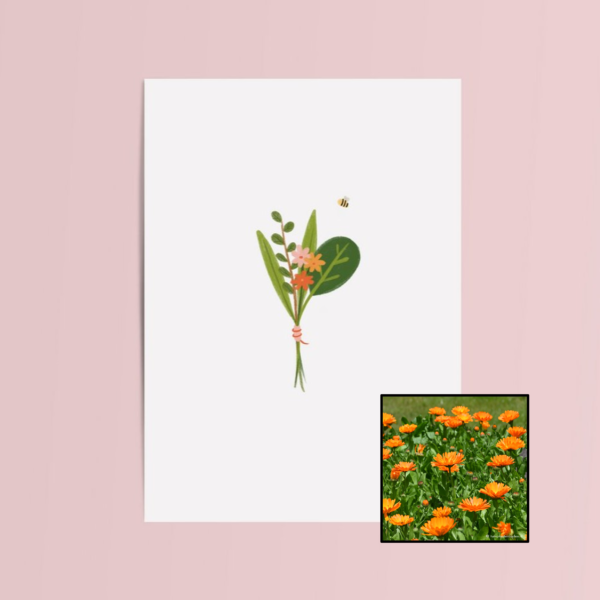 Boeket & Bij | Bloemenzaad