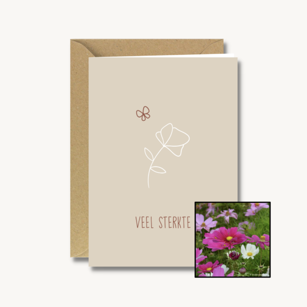 Medeleven | Bloemenzaad