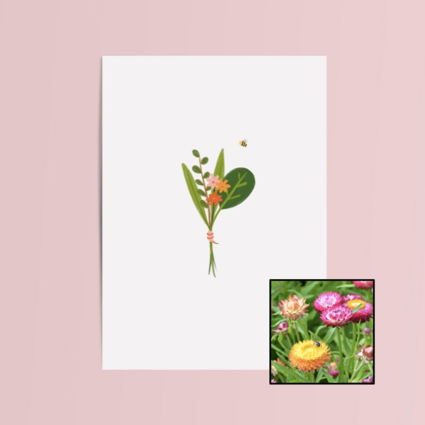 Boeket & Bij | Bloemenzaad