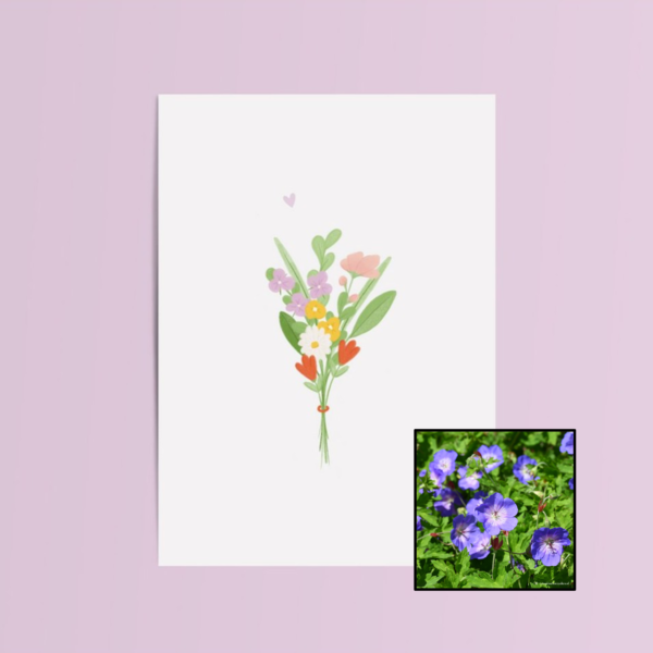 Bundel Bloemen | Bloemenzaad