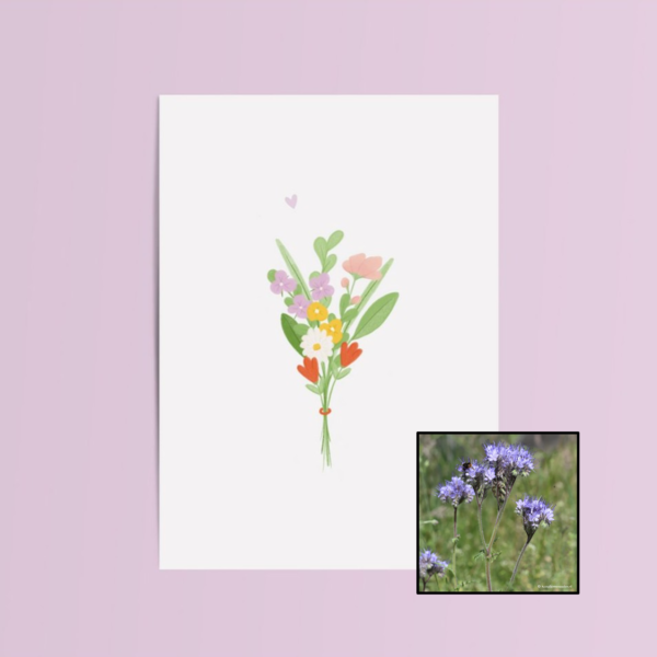 Bundel Bloemen | Bloemenzaad