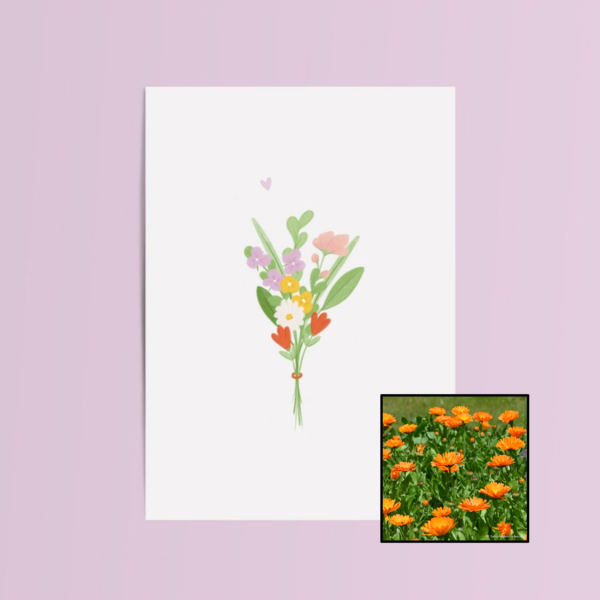 Bundel Bloemen | Bloemenzaad