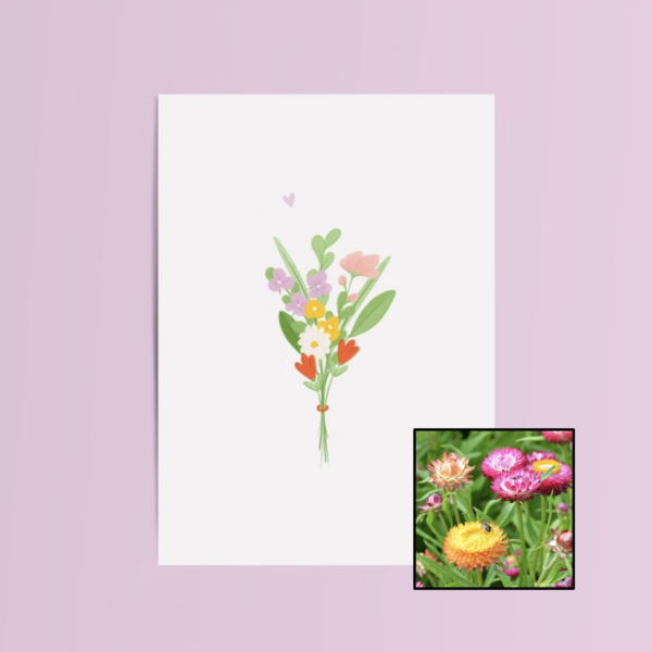 Bundel Bloemen | Bloemenzaad