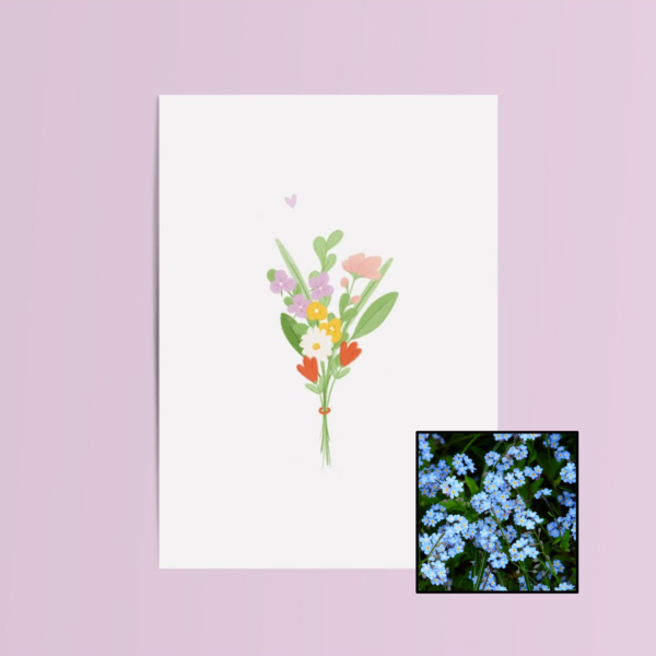 Bundel Bloemen | Bloemenzaad