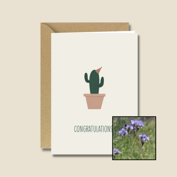 Gefeliciteerd Cactus | Bloemenzaad