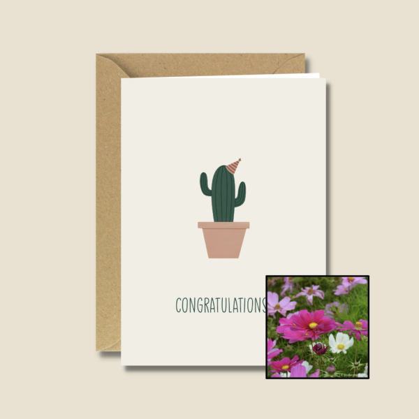 Gefeliciteerd Cactus | Bloemenzaad