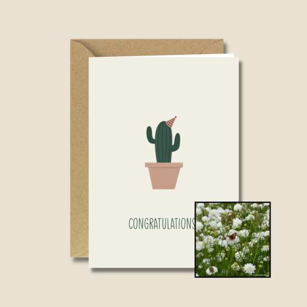 Gefeliciteerd Cactus | Bloemenzaad