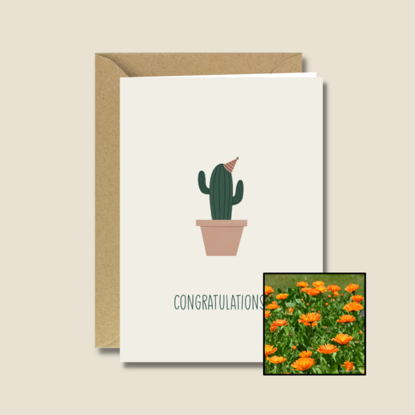 Gefeliciteerd Cactus | Bloemenzaad