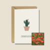Gefeliciteerd Cactus | Bloemenzaad