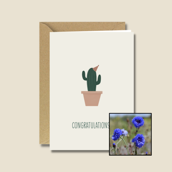 Gefeliciteerd Cactus | Bloemenzaad