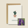Gefeliciteerd Cactus | Bloemenzaad