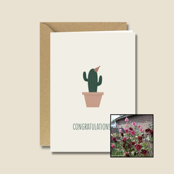 Gefeliciteerd Cactus | Bloemenzaad