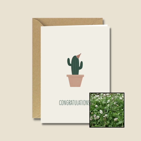 Gefeliciteerd Cactus | Bloemenzaad