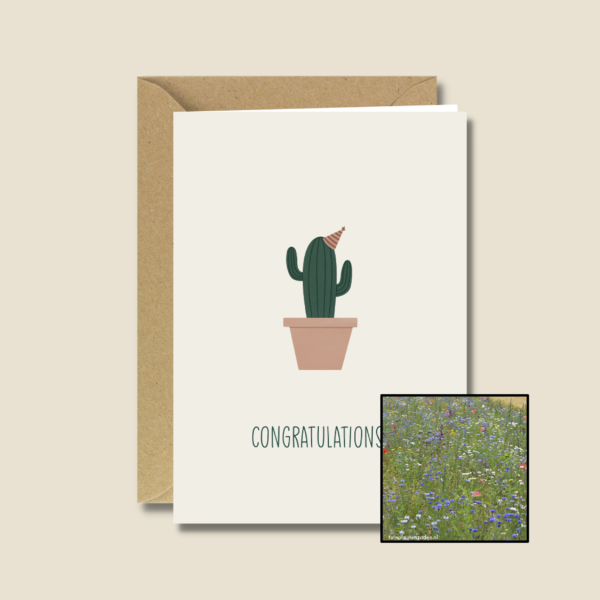 Gefeliciteerd Cactus | Bloemenzaad