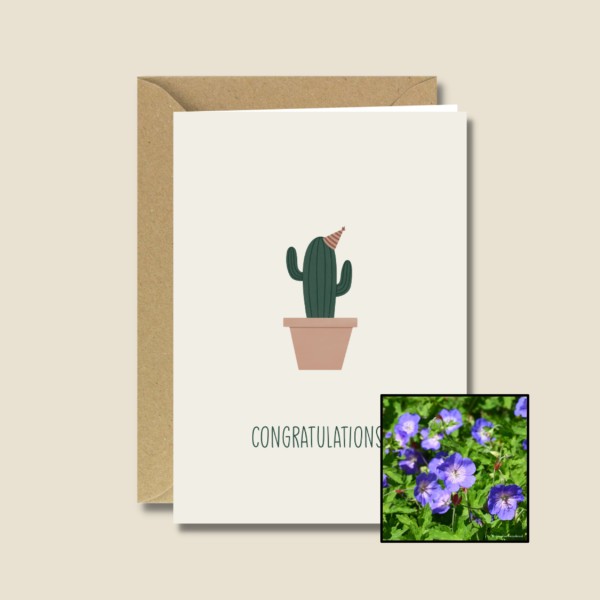 Gefeliciteerd Cactus | Bloemenzaad