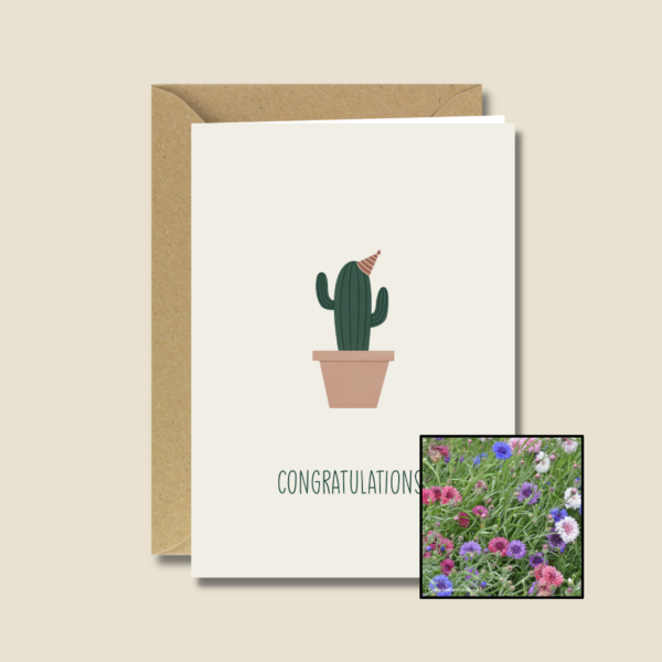 Gefeliciteerd Cactus | Bloemenzaad