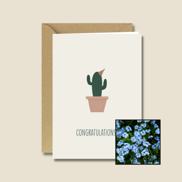 Gefeliciteerd Cactus | Bloemenzaad