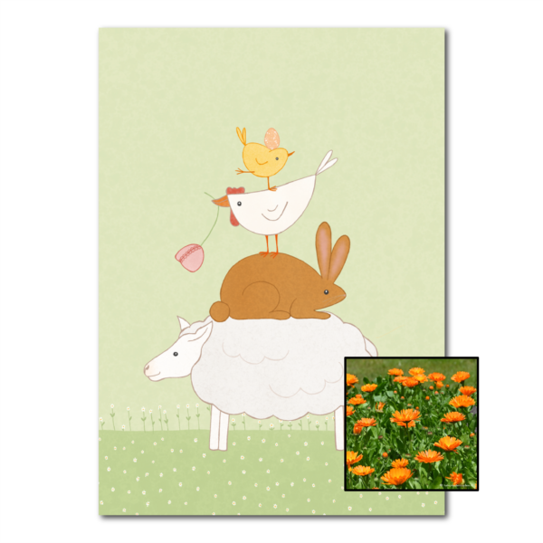 Dierenstapel | Bloemenzaad