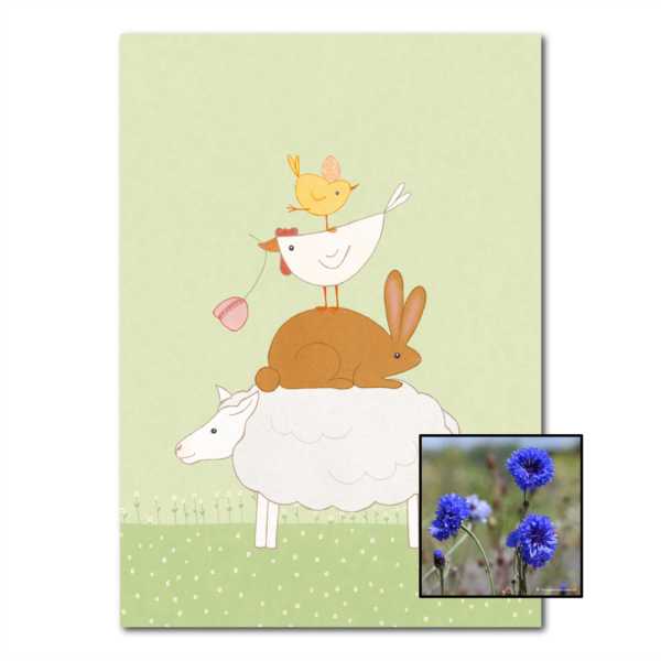Dierenstapel | Bloemenzaad
