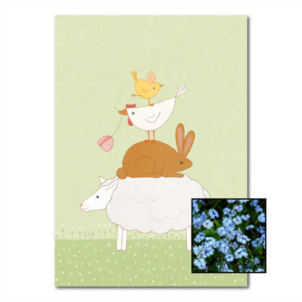 Dierenstapel | Bloemenzaad