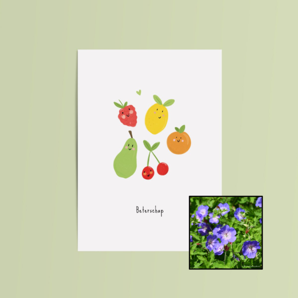 Vrolijk Fruit | Bloemenzaad