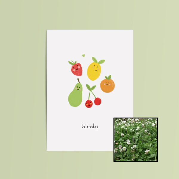 Vrolijk Fruit | Bloemenzaad