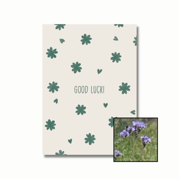 Bijenvoer bloemenzaad