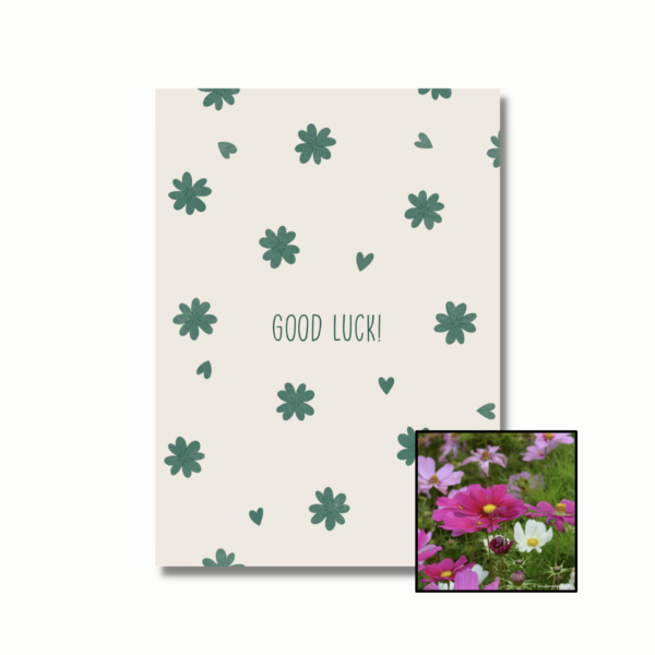 cosmea kleurenmix bloemenzaad