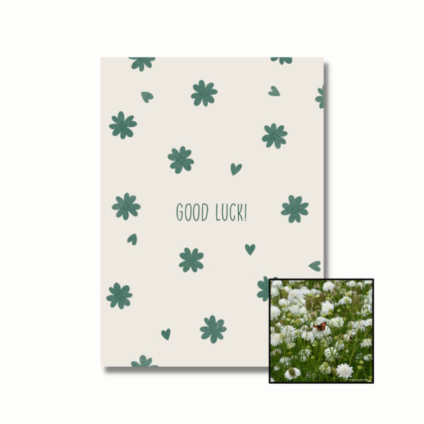 duifkruid bloemenzaad