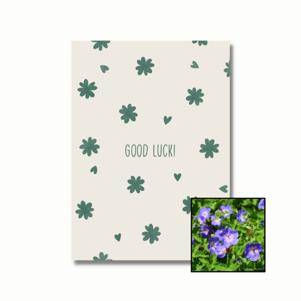 geranium bloemenzaad