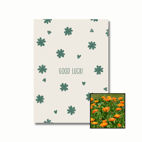 goudsbloemen bloemenzaad