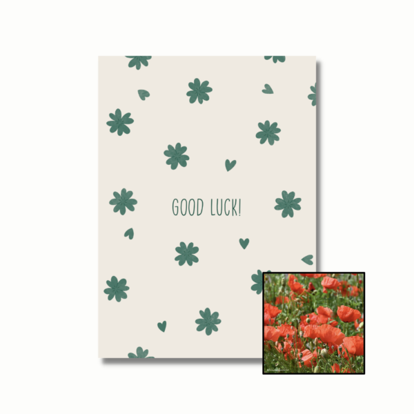 klaprozen rood bloemenzaad