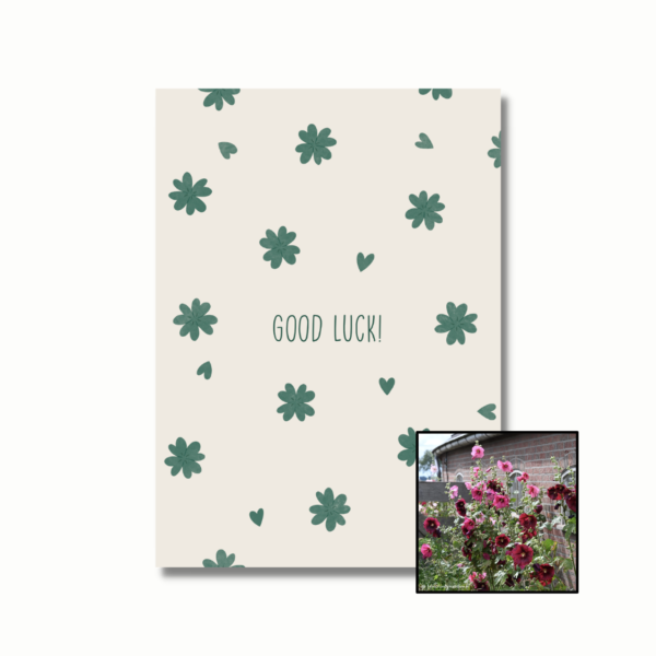 Good Luck! | Bloemenzaad