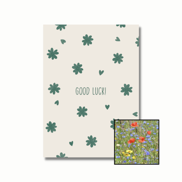 inheemse bloemenmix bloemenzaad