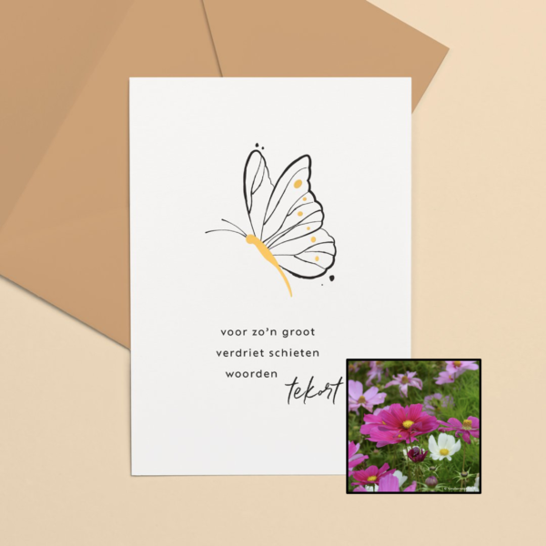 Groot Verdriet | Bloemenzaad