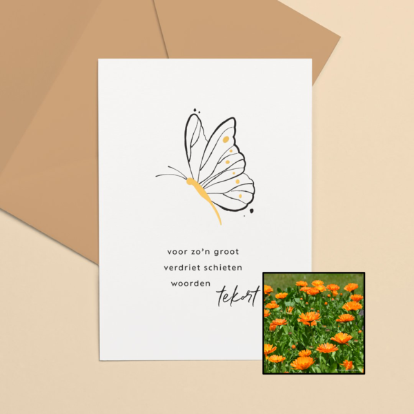 Groot Verdriet | Bloemenzaad