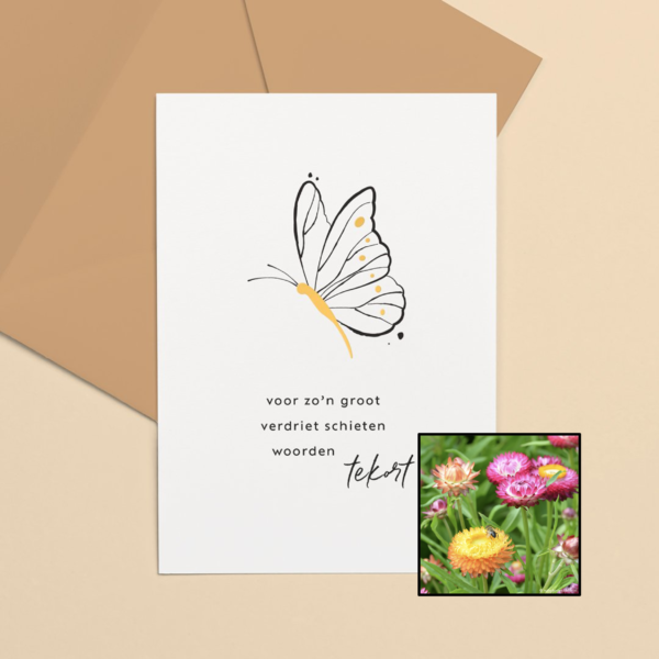 Groot Verdriet | Bloemenzaad