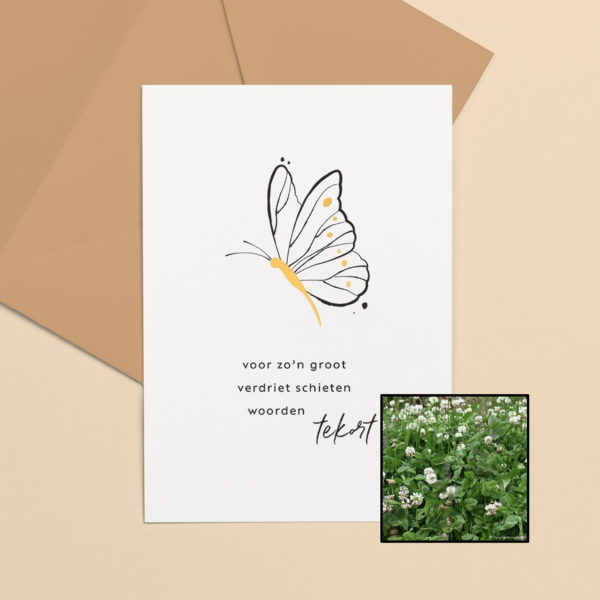 Groot Verdriet | Bloemenzaad