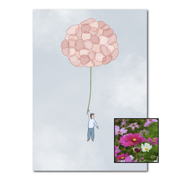 Hortensia | Bloemenzaad