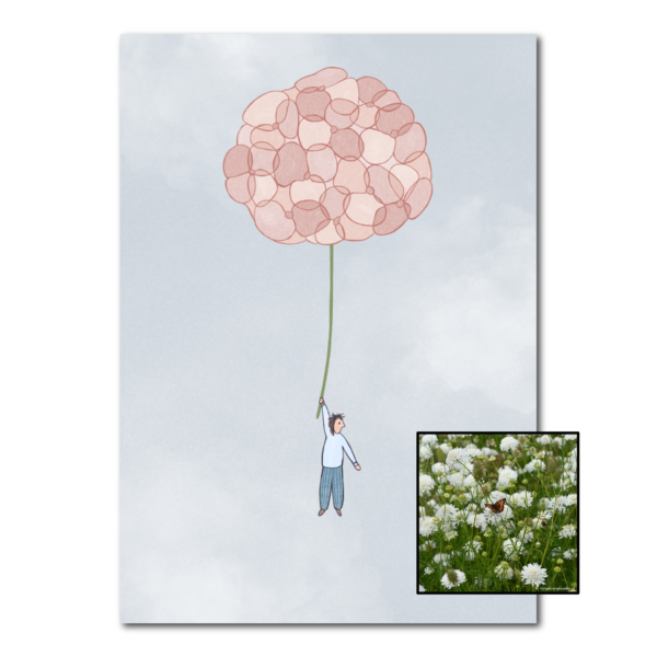 Hortensia | Bloemenzaad