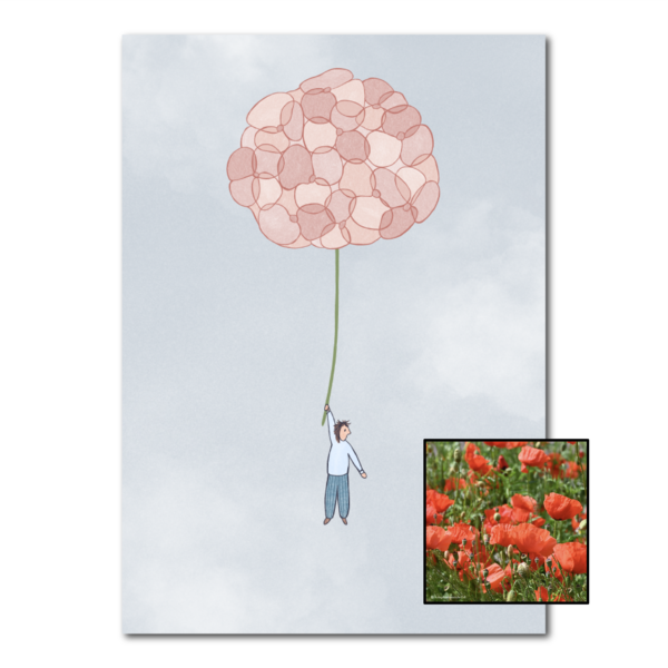 Hortensia | Bloemenzaad