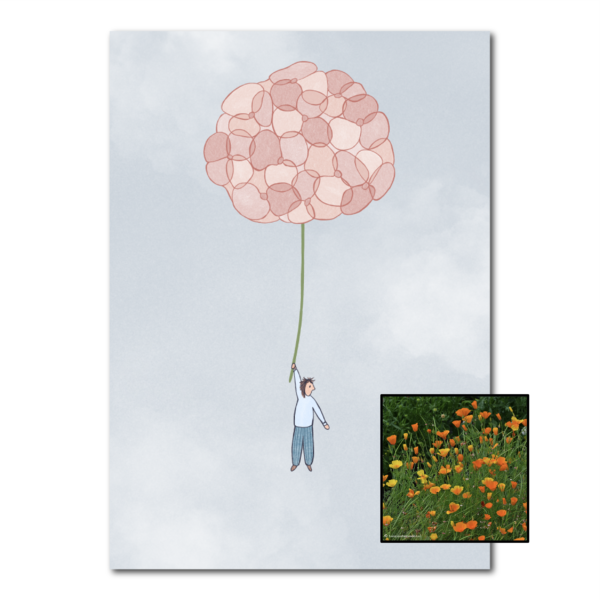 Hortensia | Bloemenzaad