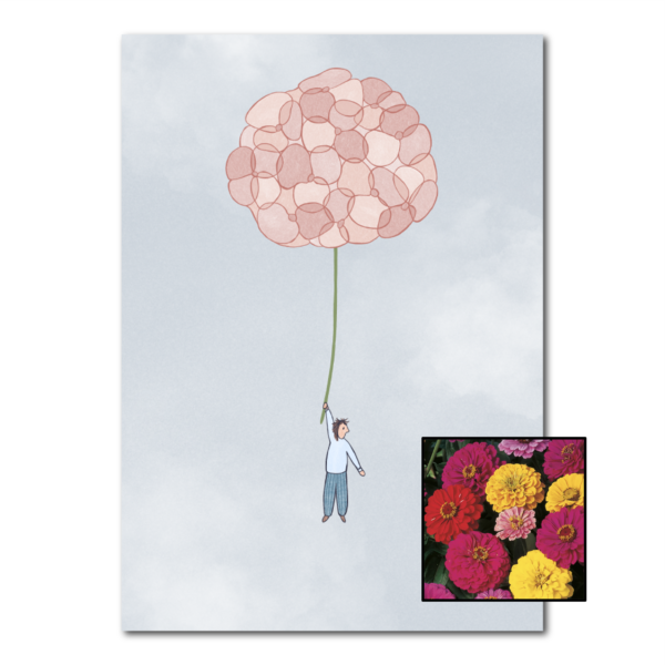 Hortensia | Bloemenzaad