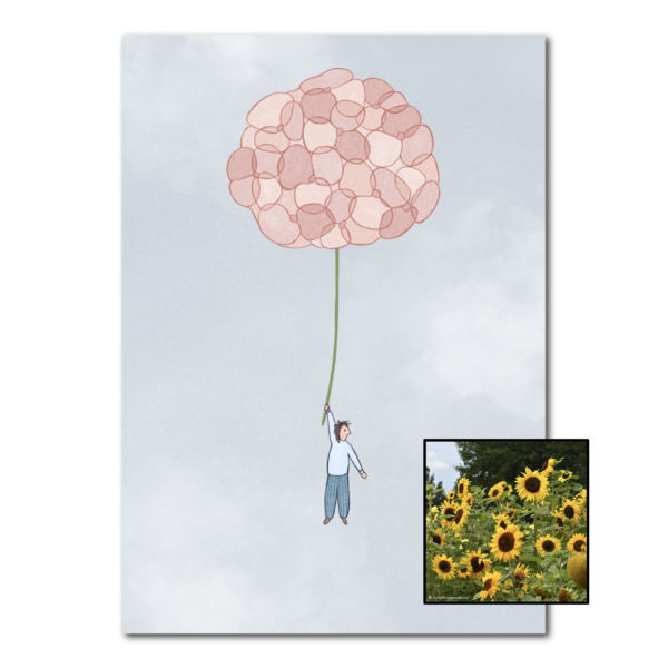 Hortensia | Bloemenzaad