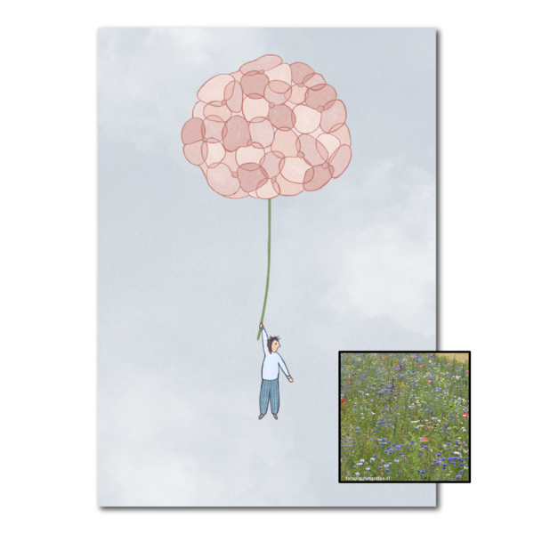 Hortensia | Bloemenzaad