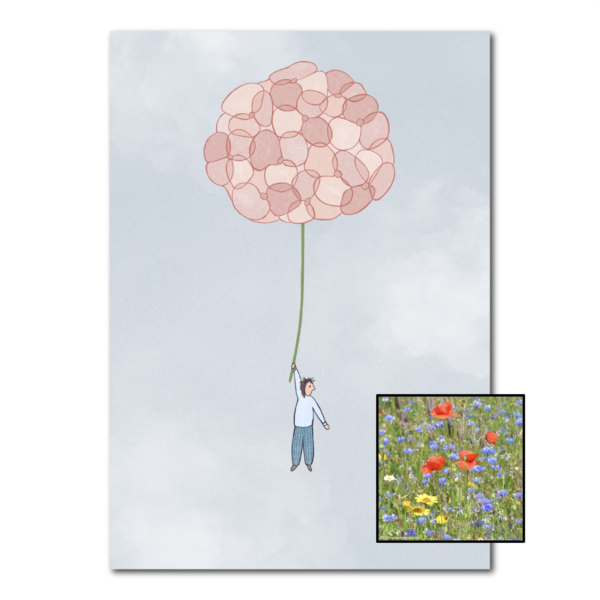 Hortensia | Bloemenzaad