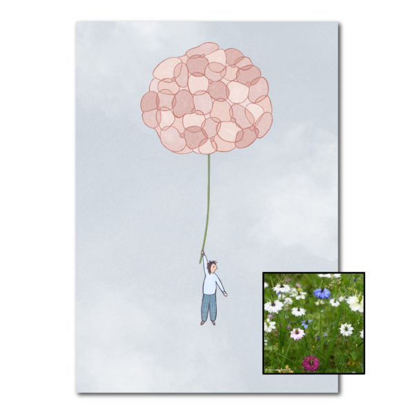 Hortensia | Bloemenzaad